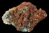 Ruby Red Vanadinite Crystals on Barite - Morocco #134706-1